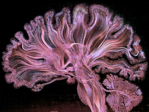 Centre Pompidou: Video exhibition + “Musical Generativity” roundtable