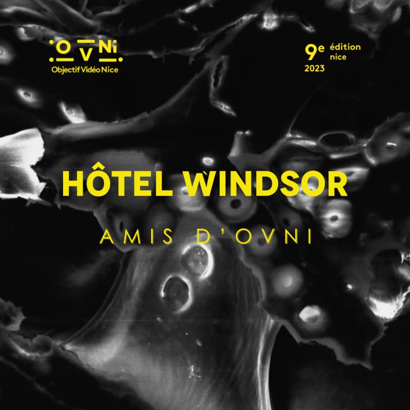 In order of appearance @ OVNi video festival Nice